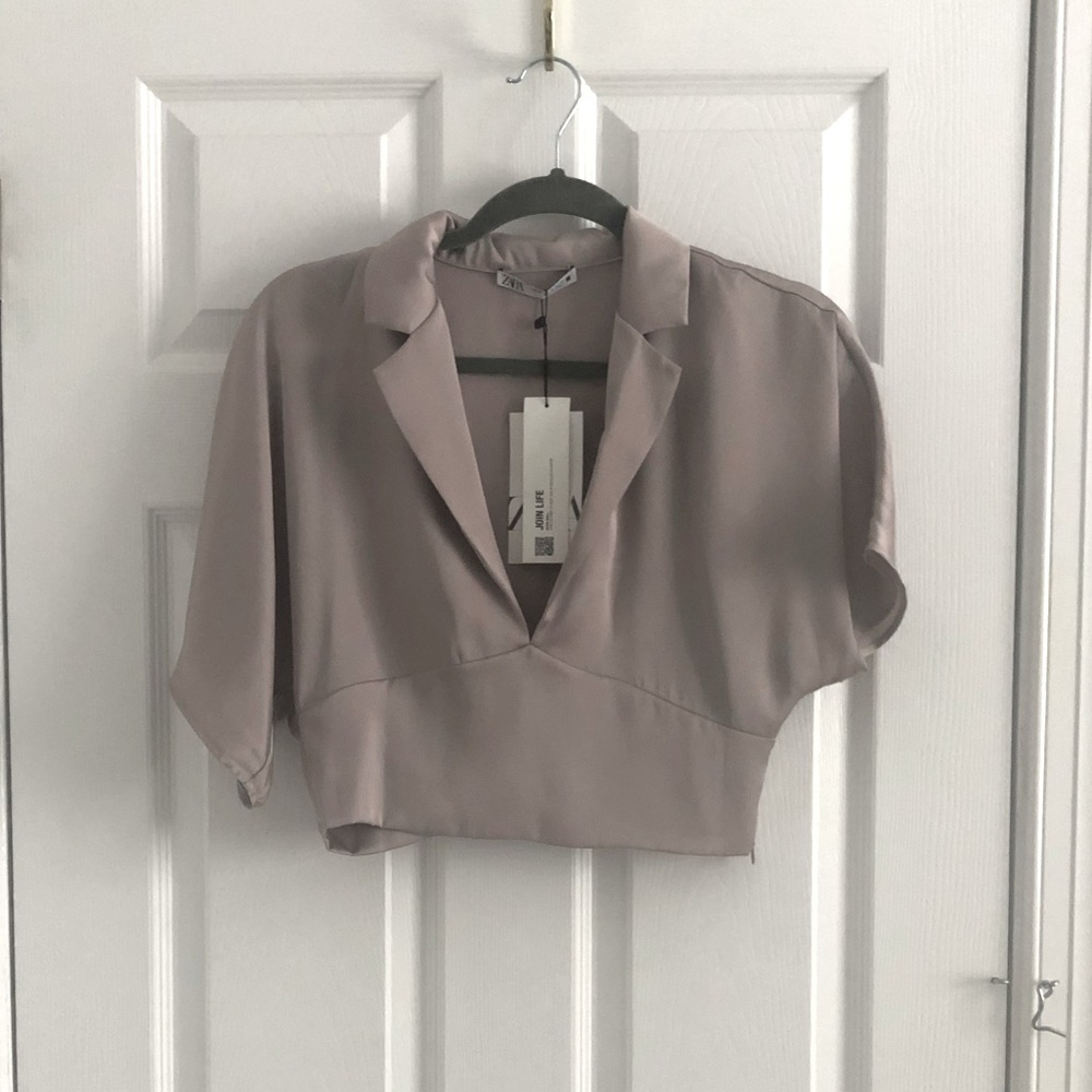 Zara Taupe Cropped Collar V-Neck Blouse